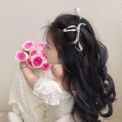 毛里求斯之旅